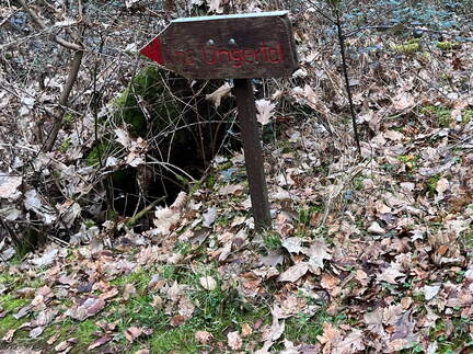 24-02-28 15-15-04 8791